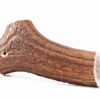 Hirsch Geweihstücke – Bild 5