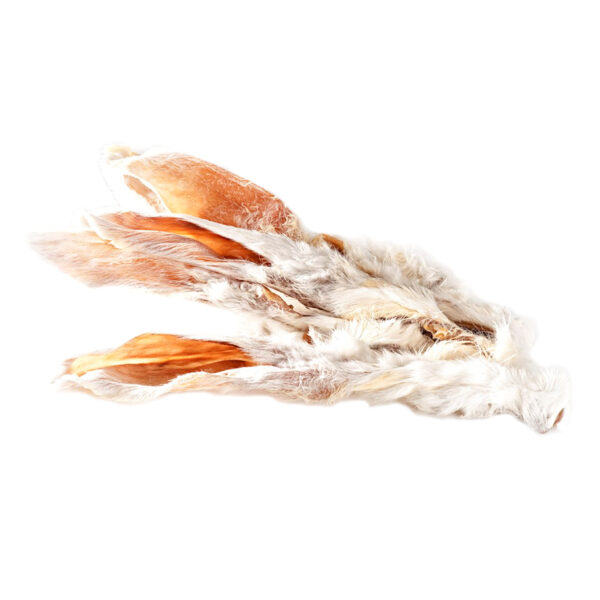 Kaninchenohren mit Fell