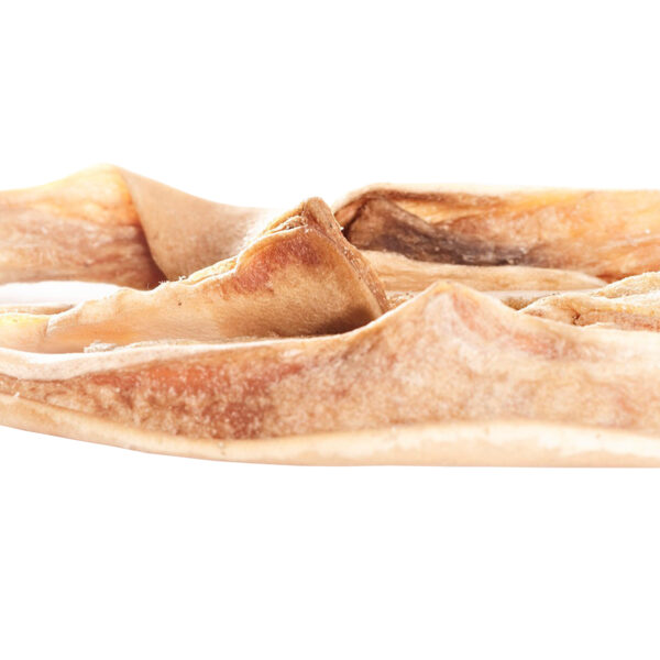 Pferde Haut – Bild 3