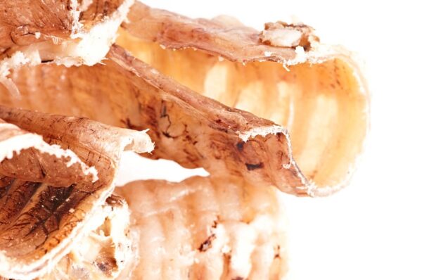 Rinder Strossen – Bild 4