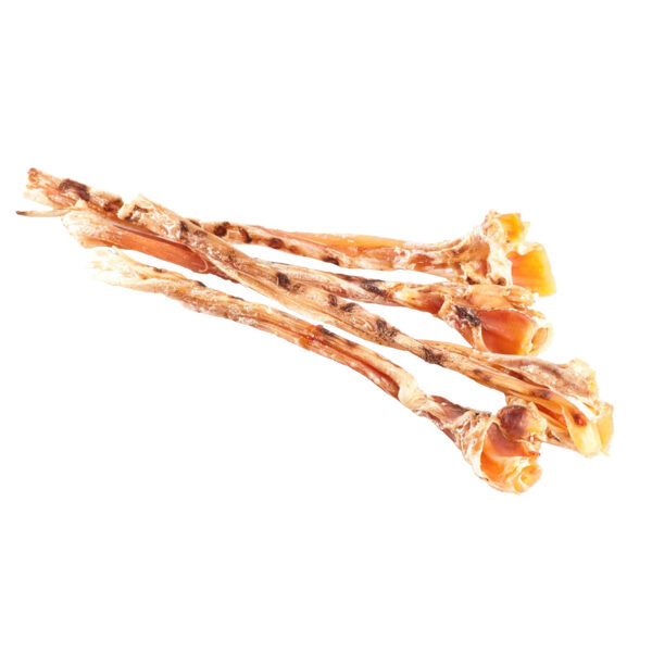 Straußen Langsehnen