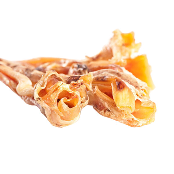 Straußen Langsehnen – Bild 2