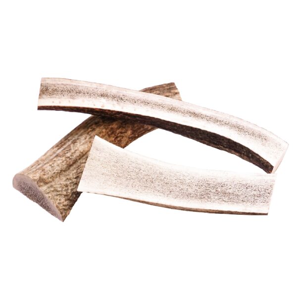 Hirsch Geweihstücke – Bild 2