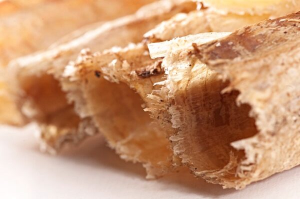 Straußen Strossen – Bild 3