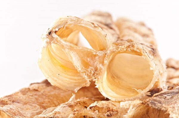 Straußen Strossen – Bild 4