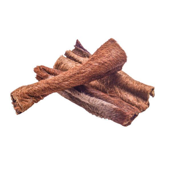 Pferde Haut mit Fell