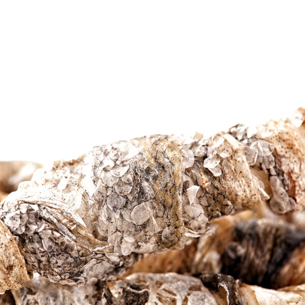 Kaurolle mit Lachshaut – Bild 3