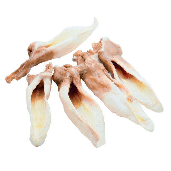 Ziegenohren – Bild 2