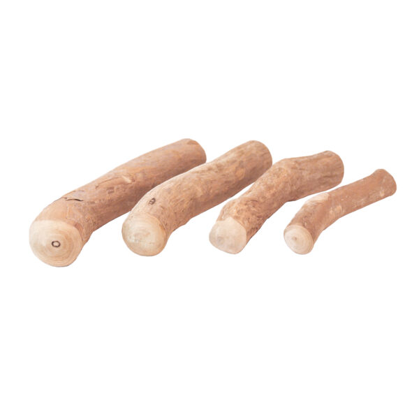 Kaffeeholz Kaustange Gr. XL