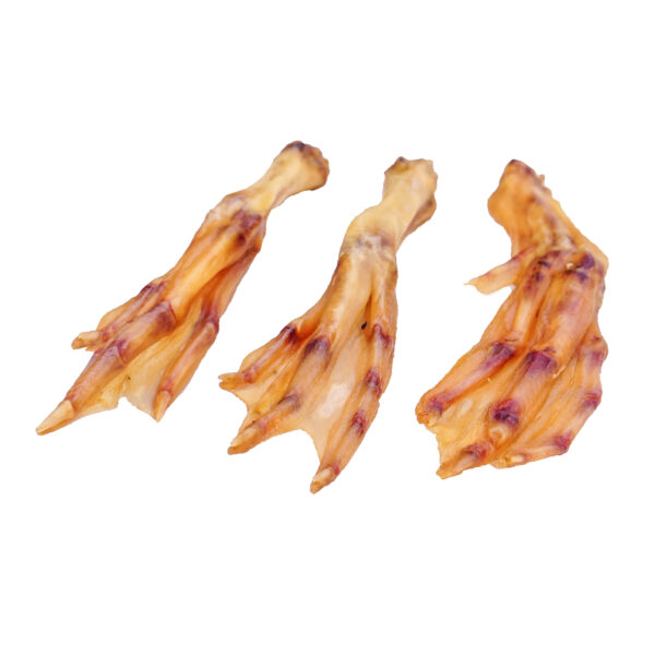 Enten Füße – Bild 2