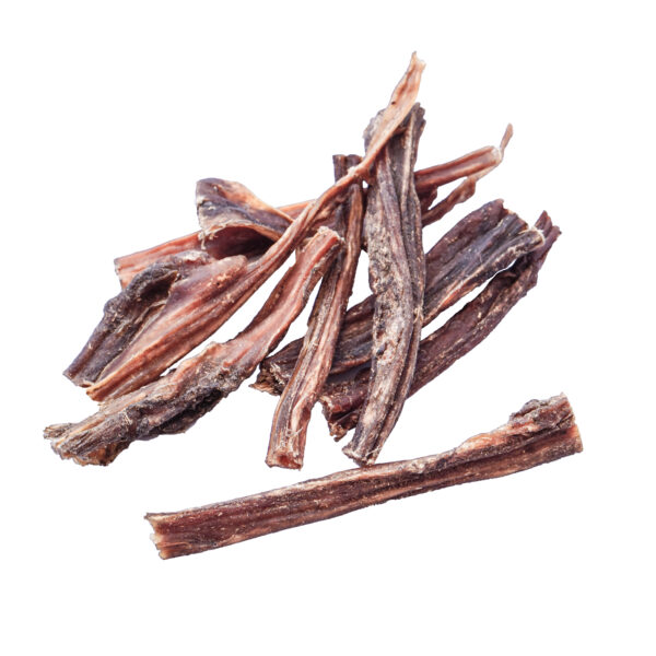 Kamel Pansen – Bild 2