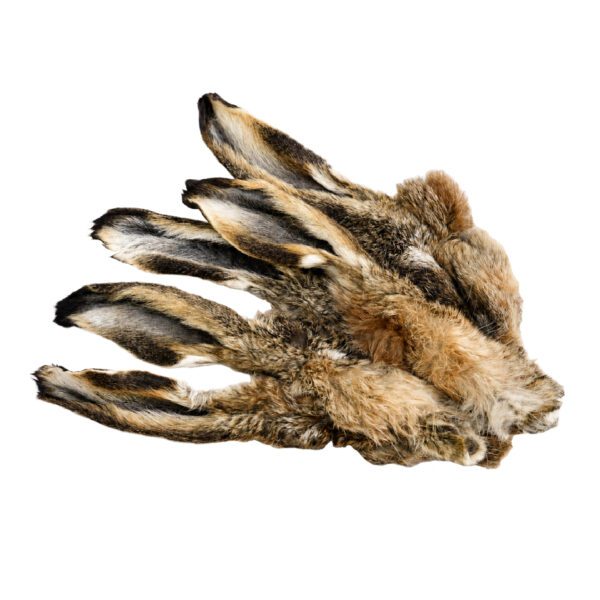 Wild-Hasenohren